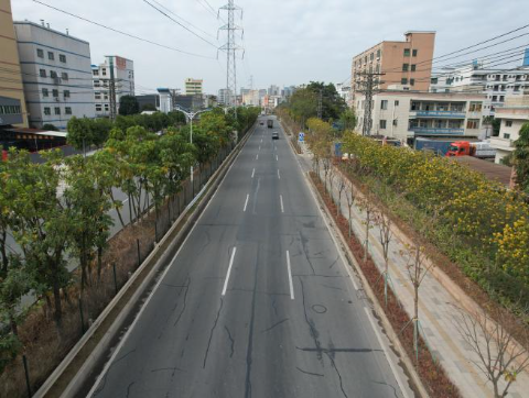 扩大“朋友圈”放眼全路域—省道S120麻涌段保洁提升见成效.docx_4