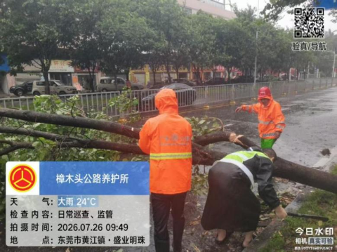 已编辑图片